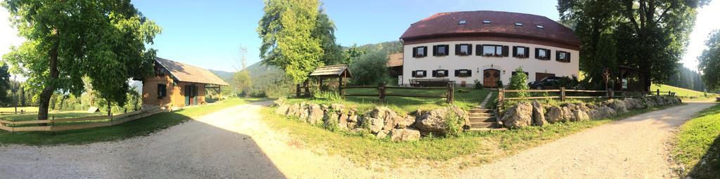 Turisticna Kmetija Toman Villa Gornji Grad Buitenkant foto