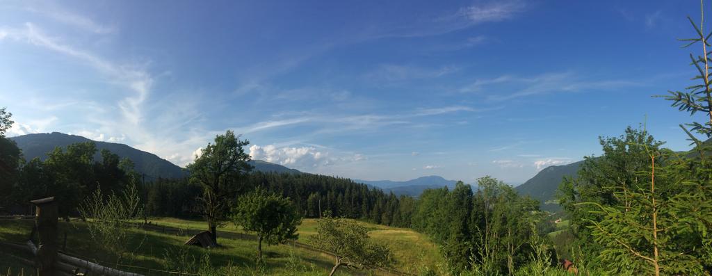 Turisticna Kmetija Toman Villa Gornji Grad Buitenkant foto