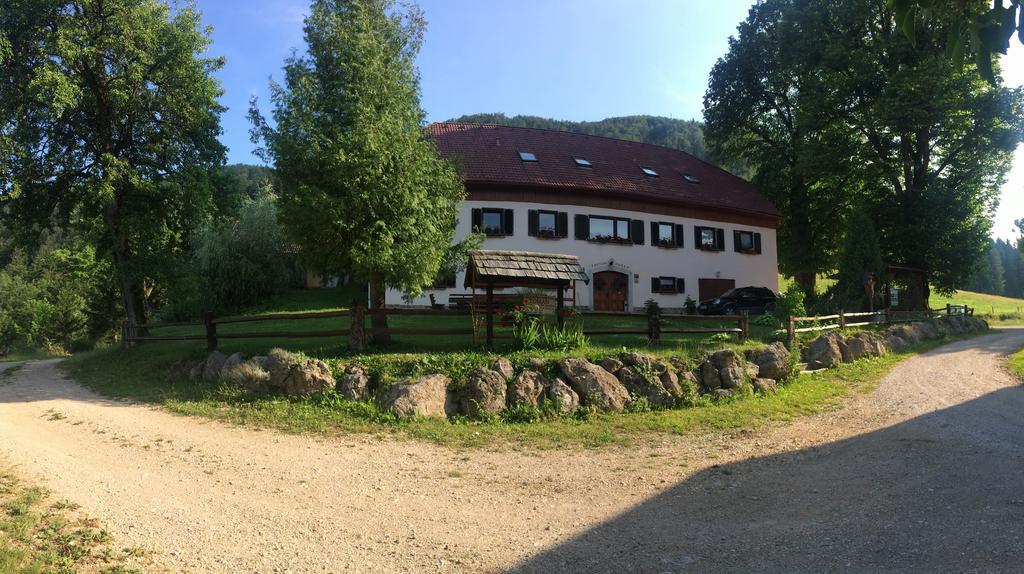 Turisticna Kmetija Toman Villa Gornji Grad Buitenkant foto