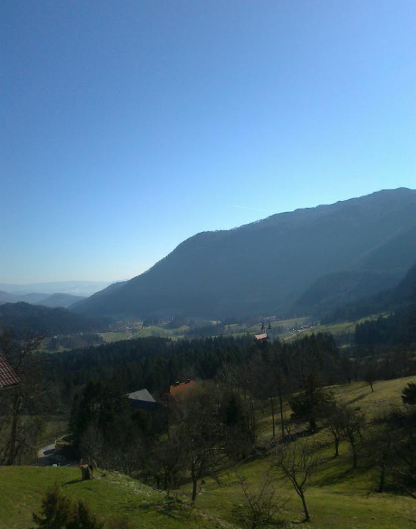 Turisticna Kmetija Toman Villa Gornji Grad Buitenkant foto