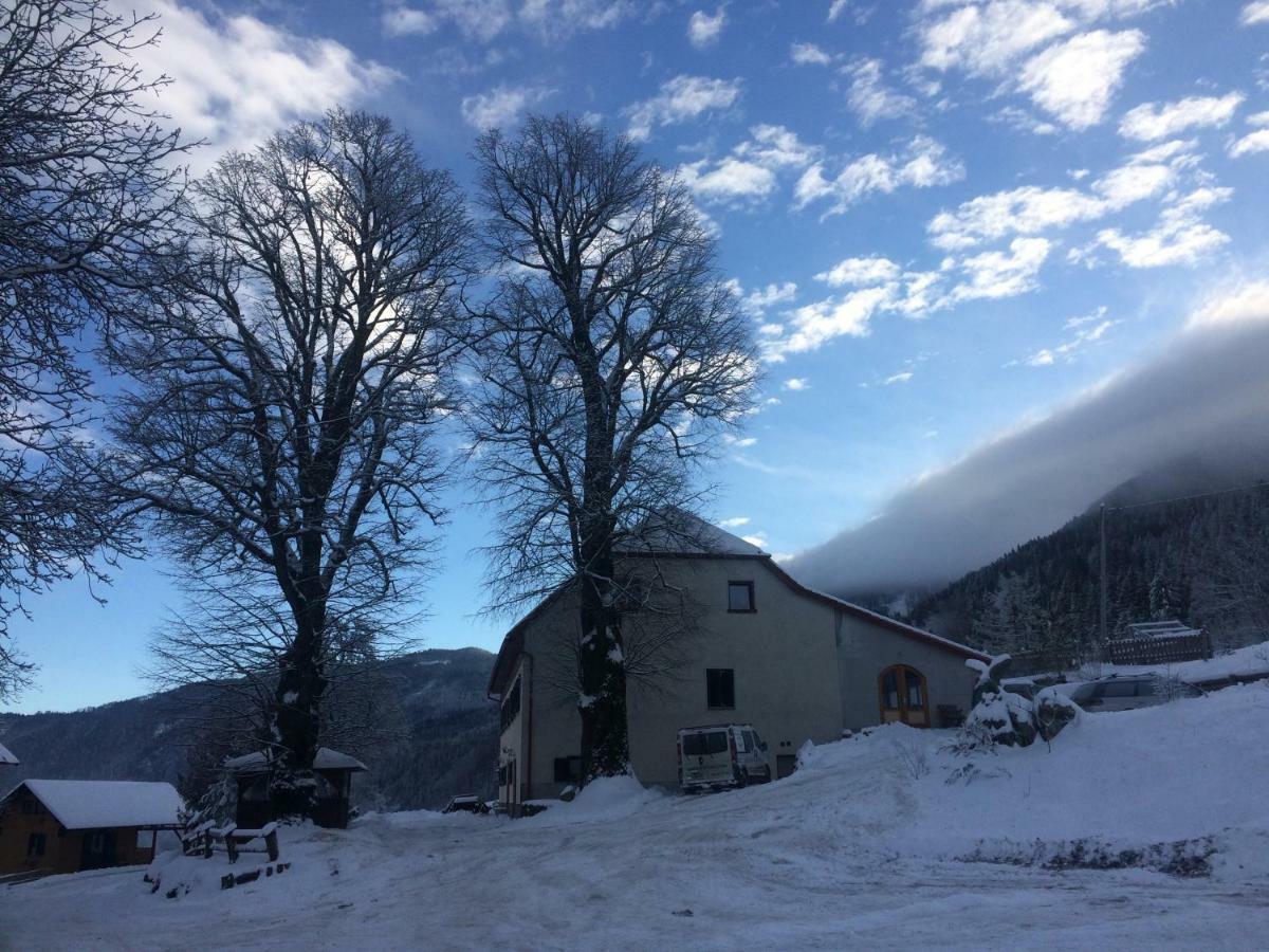 Turisticna Kmetija Toman Villa Gornji Grad Buitenkant foto