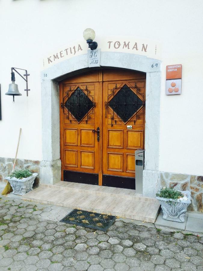 Turisticna Kmetija Toman Villa Gornji Grad Buitenkant foto