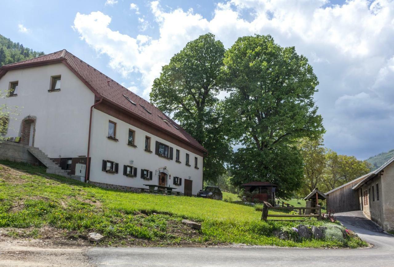 Turisticna Kmetija Toman Villa Gornji Grad Buitenkant foto