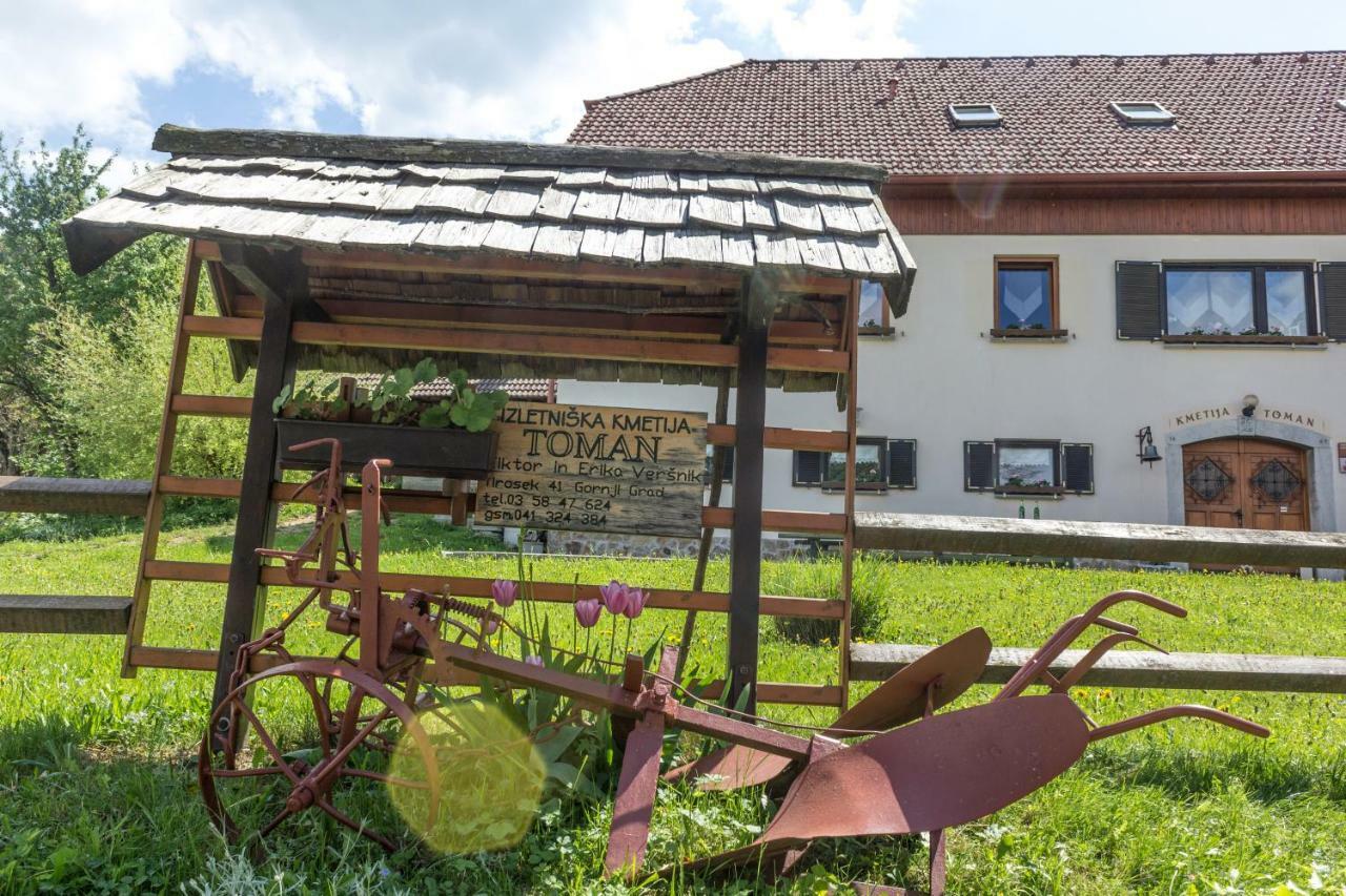 Turisticna Kmetija Toman Villa Gornji Grad Buitenkant foto