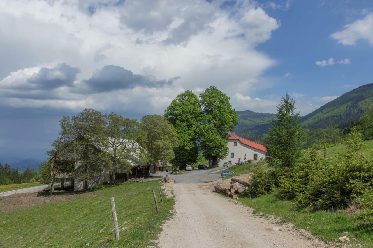 Turisticna Kmetija Toman Villa Gornji Grad Buitenkant foto