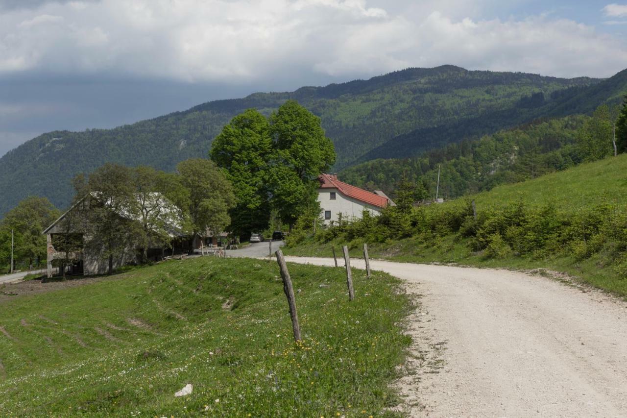 Turisticna Kmetija Toman Villa Gornji Grad Buitenkant foto